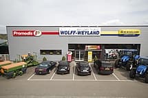 wolff-weyland